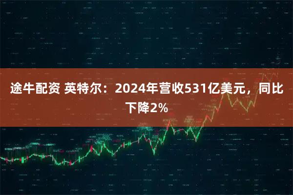 途牛配资 英特尔：2024年营收531亿美元，同比下降2%