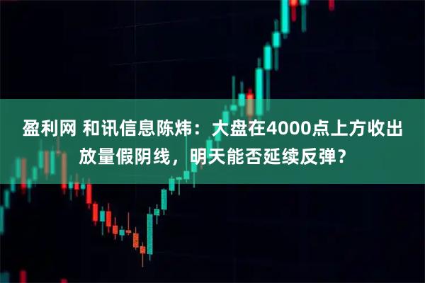 盈利网 和讯信息陈炜：大盘在4000点上方收出放量假阴线，明天能否延续反弹？