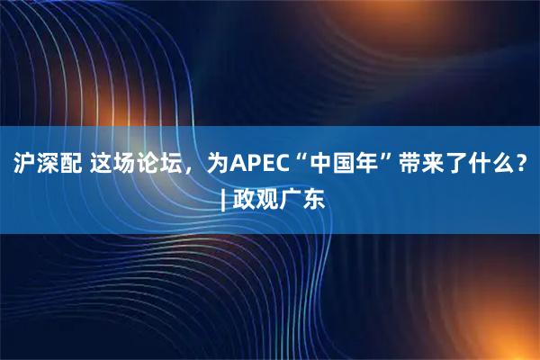 沪深配 这场论坛,为APEC“中国年”带来了什么? | 政观广东