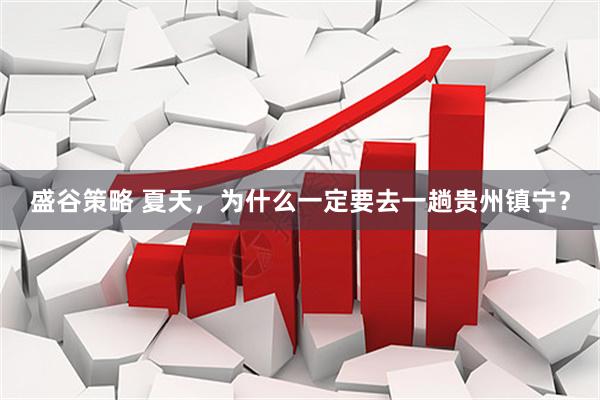 盛谷策略 夏天，为什么一定要去一趟贵州镇宁？