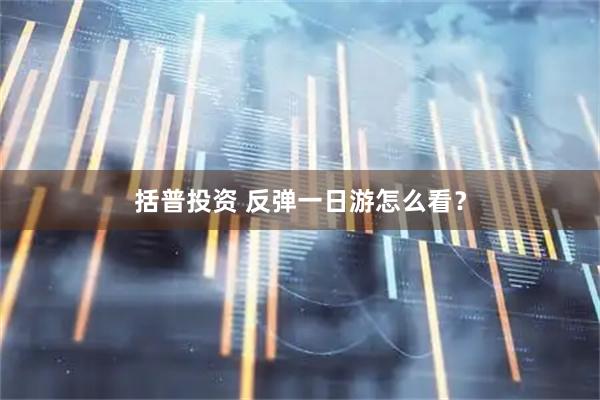 括普投资 反弹一日游怎么看?