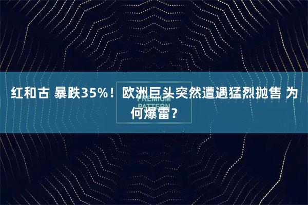 红和古 暴跌35%！欧洲巨头突然遭遇猛烈抛售 为何爆雷？