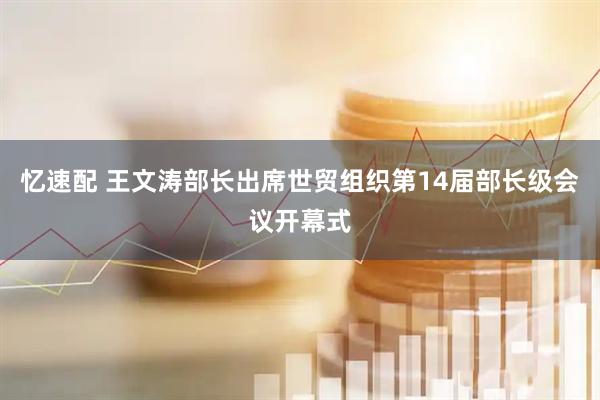 忆速配 王文涛部长出席世贸组织第14届部长级会议开幕式