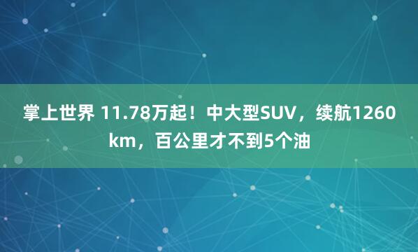掌上世界 11.78万起！中大型SUV，续航1260km，百公里才不到5个油