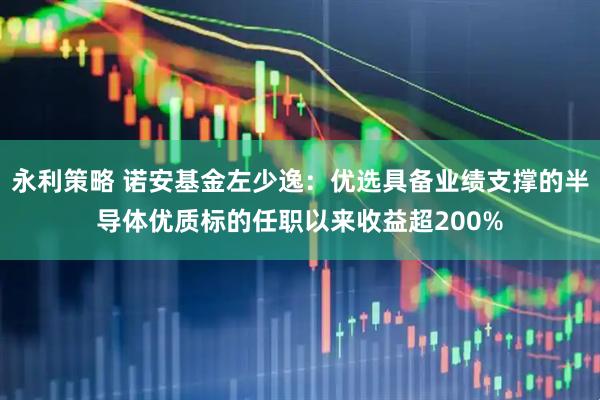 永利策略 诺安基金左少逸:优选具备业绩支撑的半导体优质标的任职以来收益超200%